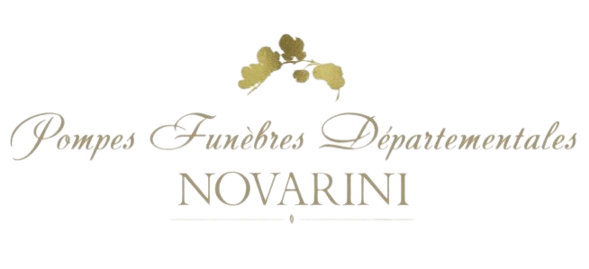 logo Novarini