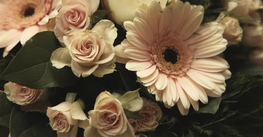 Fleuriste près de Mézin